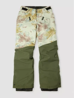 O'Neill O'Neill Anvil Aop Pants