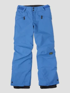 O'Neill O'Neill Anvil Pants