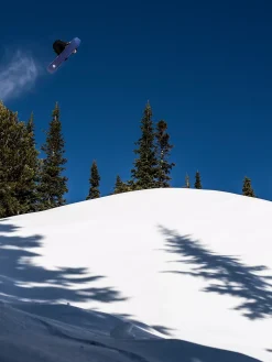 Burton Family Tree Hometown Hero 152 2023 Snowboard