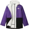 THE NORTH FACE Freedom Insulated Jacket -Snowboard Verkaufsgeschäft FreedomInsulatedJacket