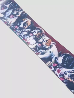 Burton Good Company 152 2023 Snowboard -Snowboard Verkaufsgeschäft GoodCompany1522023Snowboard 2