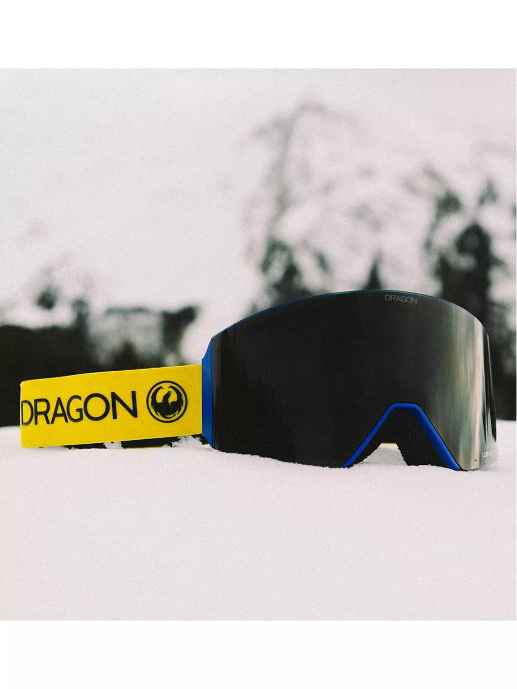 Dragon RVX 22 Flash Goggle 4 Dragon RVX 22 Flash Goggle – Bild 2