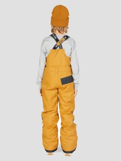 DC Roadblock Bib Pants